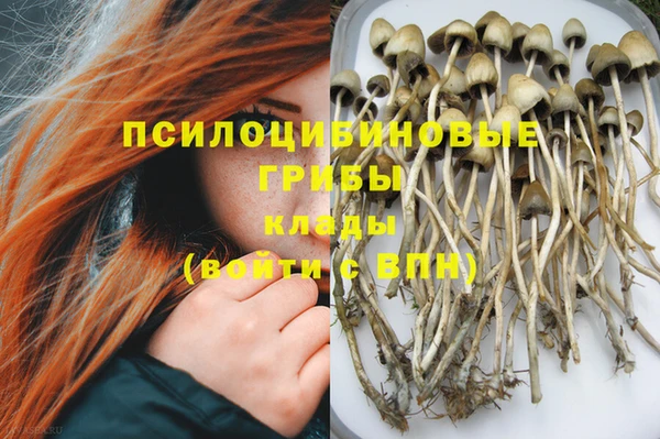 бошки Аркадак