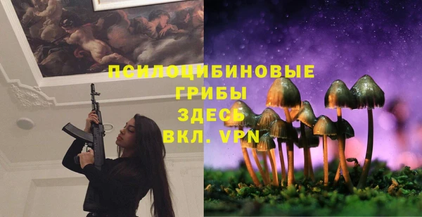скорость Арсеньев