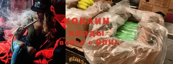бошки Аркадак
